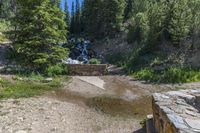 a small stream flowing over a rock wall next to a small forest with lots of trees