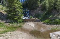 a small stream flowing over a rock wall next to a small forest with lots of trees