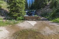 a small stream flowing over a rock wall next to a small forest with lots of trees