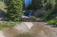 a small stream flowing over a rock wall next to a small forest with lots of trees