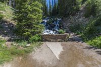 a small stream flowing over a rock wall next to a small forest with lots of trees