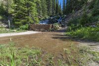 a small stream flowing over a rock wall next to a small forest with lots of trees