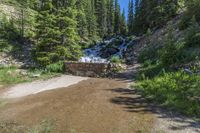 a small stream flowing over a rock wall next to a small forest with lots of trees