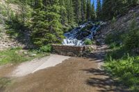 a small stream flowing over a rock wall next to a small forest with lots of trees