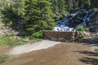 a small stream flowing over a rock wall next to a small forest with lots of trees