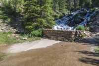 a small stream flowing over a rock wall next to a small forest with lots of trees