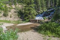 a small stream flowing over a rock wall next to a small forest with lots of trees