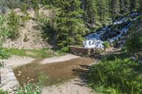 a small stream flowing over a rock wall next to a small forest with lots of trees