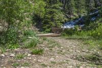 a small stream flowing over a rock wall next to a small forest with lots of trees