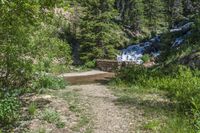 a small stream flowing over a rock wall next to a small forest with lots of trees