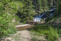 a small stream flowing over a rock wall next to a small forest with lots of trees