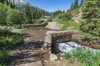 a small stream flowing over a rock wall next to a small forest with lots of trees