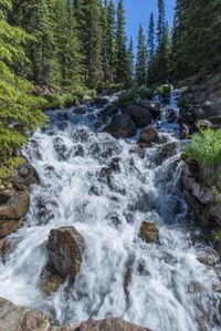 a small stream flowing over a rock wall next to a small forest with lots of trees