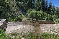 a small stream flowing over a rock wall next to a small forest with lots of trees