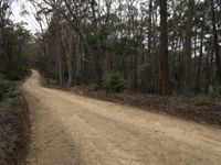 Scenic Landscape of Bournda National Park in New South Wales, Australia