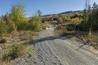 Scenic Landscape in British Columbia's Okanagan Valley