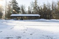 Scenic Landscape in Canada: Snowy Forest and Trees