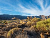 mountains and brush in an arid area with a blue sky and white clouds above them