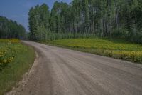 Scenic Landscape in Colorado, USA