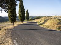 Dawn Road in Tuscany, Italy | Scenic Landscape with Curves and Clear Sky