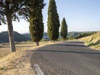 Dawn Road in Tuscany, Italy | Scenic Landscape with Curves and Clear Sky