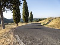 Dawn Road in Tuscany, Italy | Scenic Landscape with Curves and Clear Sky