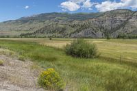 a truck is driving down the side of the road along a country road that is surrounded by trees and mountains