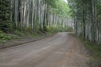 Scenic Landscape of Kebler Pass in Colorado, USA