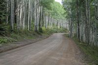 Scenic Landscape of Kebler Pass in Colorado, USA