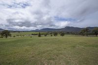 Scenic Landscape with Lush Vegetation and Green Plains