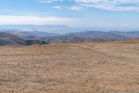 a cow stands on a dry mountain range with some mountains in the background that is very barren