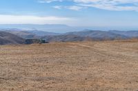 a cow stands on a dry mountain range with some mountains in the background that is very barren