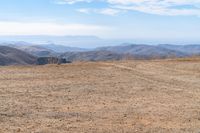 a cow stands on a dry mountain range with some mountains in the background that is very barren