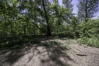 Scenic Landscape in Ontario, Canada