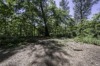 Scenic Landscape in Ontario, Canada