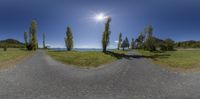 a view from the ground into a road on the other side and in the middle with trees growing next to it