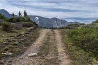 trail and a mountain with snow capped mountains in the distance along the road in the distance