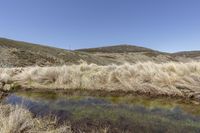 a stream flowing through dry grass covered hillside side meadows and a blue sky in the distance