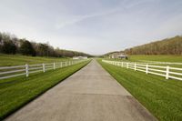 Scenic Landscape in Tennessee: A Rural View