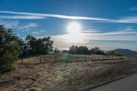 Scenic Landscape with Trees and Fence in Open Space