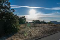 Scenic Landscape with Trees and Fence in Open Space