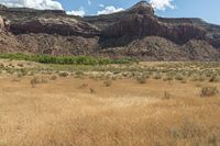 Scenic Landscape of Utah's Desert Red Rocks in Canyonlands National Park - USA