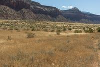 Scenic Landscape of Utah's Desert Red Rocks in Canyonlands National Park - USA