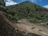 Scenic Landscape of Utah: Mountains and Nature