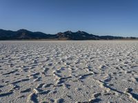 Scenic Landscape of Utah's Salt Lake City