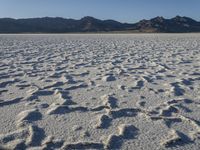 Scenic Landscape of Utah's Salt Lake City