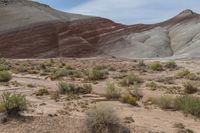 Scenic Landscape in Utah, USA