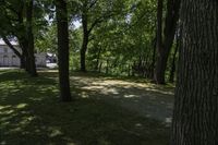 Scenic Landscape with Vegetation and Road in Hamilton, Ontario, Canada