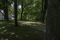 Scenic Landscape with Vegetation and Road in Hamilton, Ontario, Canada