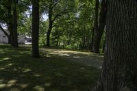 Scenic Landscape with Vegetation and Road in Hamilton, Ontario, Canada